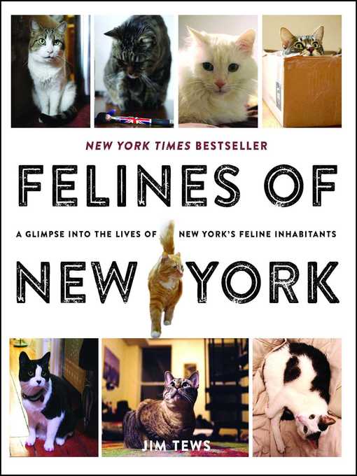 Title details for Felines of New York by Jim Tews - Wait list